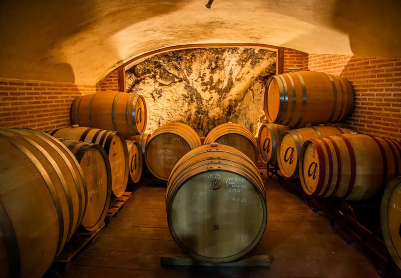 Bodega Interior
