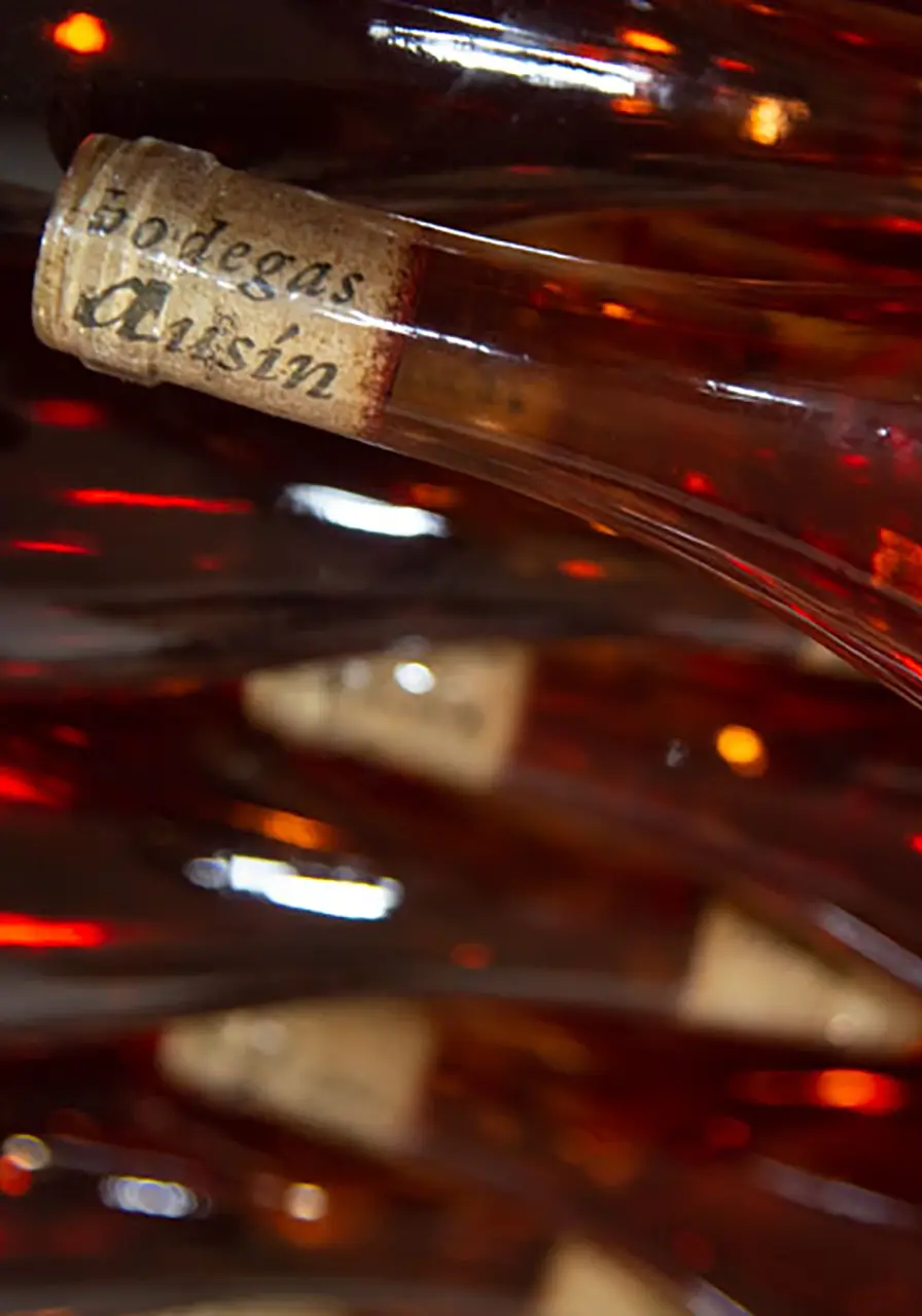 Wine Bottle
